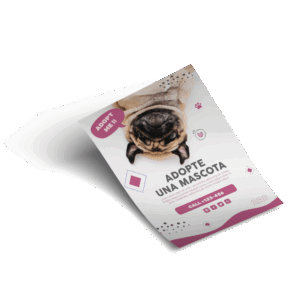 Flyer-mockups_2 Flyers Publicitarios Express