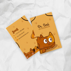 Tarjetas PVC