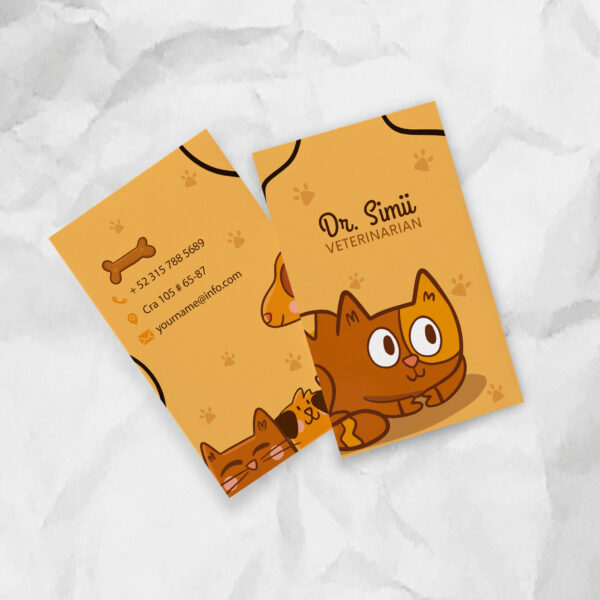 Tarjetas PVC